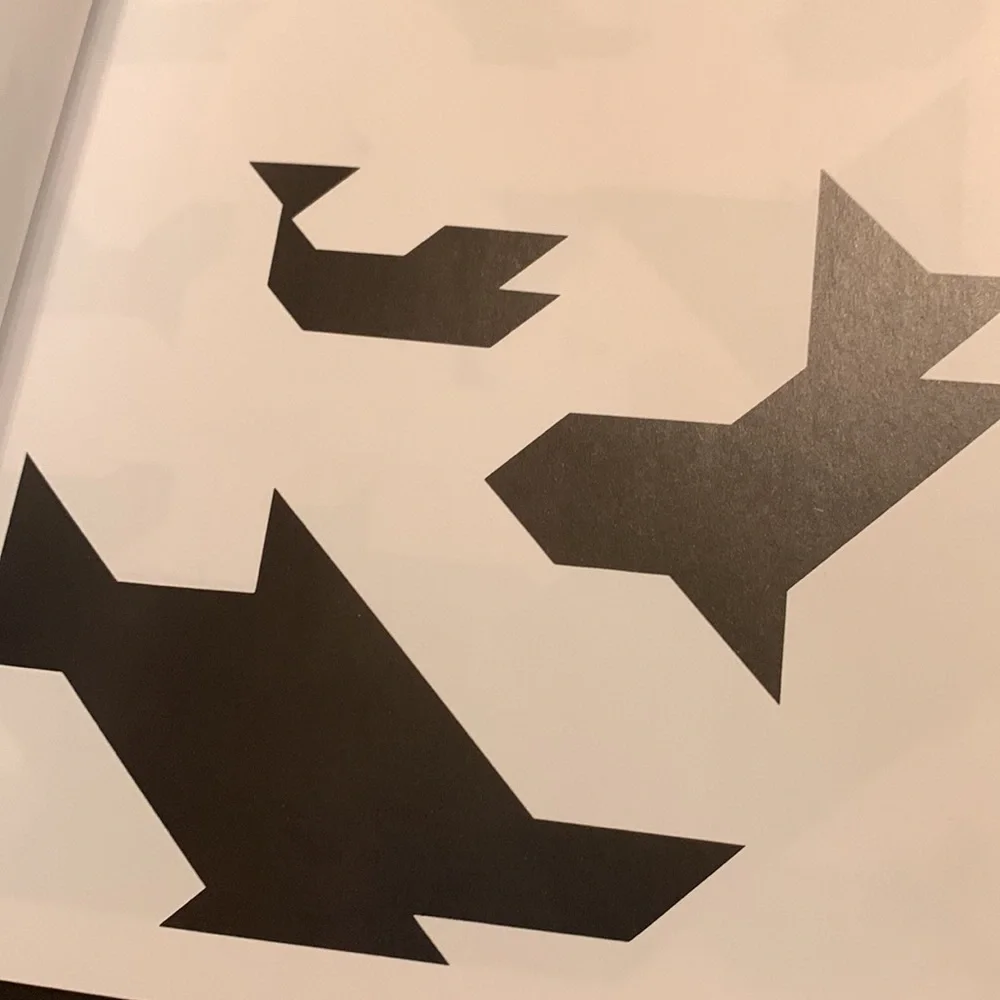 Tangram LARGE 1,600 ancient Chinese puzzles games Elffers Schuyt HOURS OF FUN